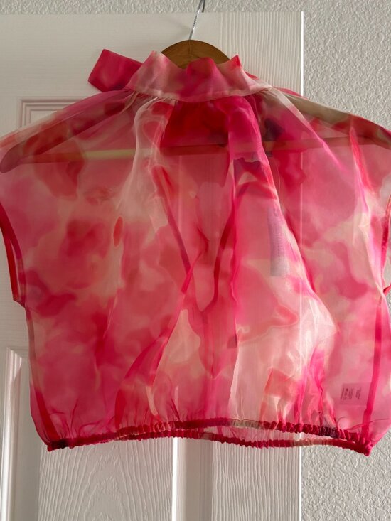 Sunday in Brooklyn Sheer Tie-Neck Blouse - Picture 5 of 7